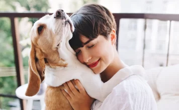 Bienestar animal impulsa la prevención y el cuidado responsable en febrero mascotas bienestar