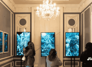 Zooxantela activa alerta coralina tras Art Week CDMX noticias Zooxantela