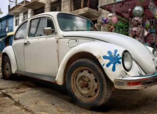 Autos clásicos recibirán placas históricas en 2026: requisitos y beneficios placas carros viejos