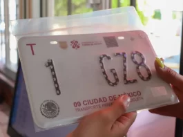Falta de placas en CDMX expone dependencia de un solo proveedor placas de cdmx