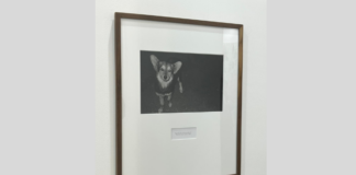 Premio de Arte AXA México impulsa a artistas emergentes en ZsONA MACO 2026 premio zona maco axa