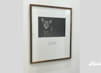 Premio de Arte AXA México impulsa a artistas emergentes en ZsONA MACO 2026 premio zona maco axa