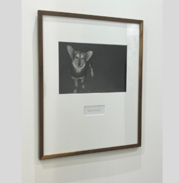 Premio de Arte AXA México impulsa a artistas emergentes en ZsONA MACO 2026 premio zona maco axa