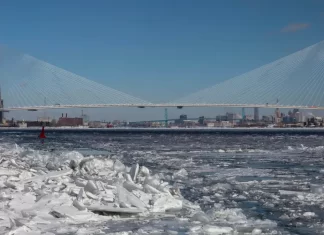 Trump amenaza con frenar nuevo puente entre Estados Unidos y Canadá puenta canda estados unidos