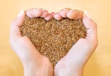 Semillas con colágeno: opciones naturales para un snack saludable semillas colageno salud