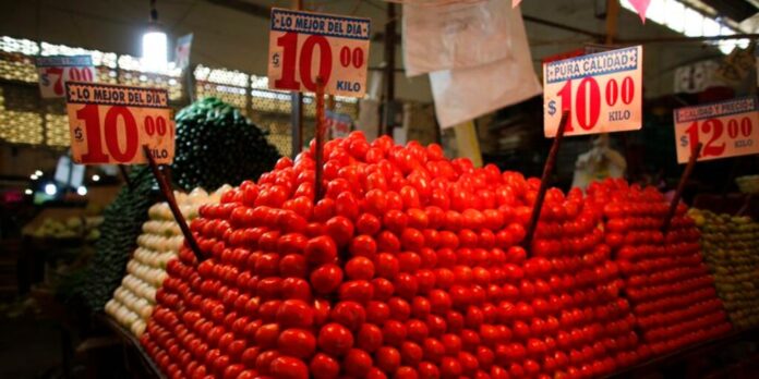 Aumenta costo del kilo de jitomate en México