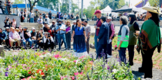 CDMX apuesta por el agua: inauguran jardín de lluvia en el Azteca para frenar inundaciones