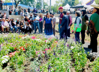 CDMX apuesta por el agua: inauguran jardín de lluvia en el Azteca para frenar inundaciones