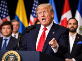 Trump desata polémica al hablar del español: “No voy a aprender su maldito idioma”