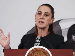 Claudia Sheinbaum decide no demandar a Elon Musk Claudia Sheinbaum decide no demandar a Elon Musk
