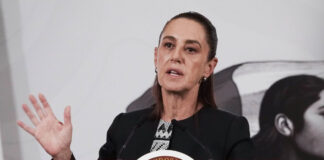 Claudia Sheinbaum decide no demandar a Elon Musk Claudia Sheinbaum decide no demandar a Elon Musk