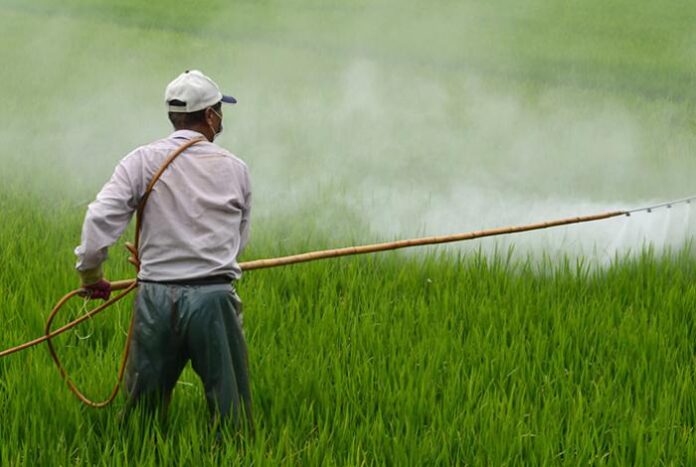 ONU insta a México a crear leyes sobre las sustancias químicas y plaguicidas peligrosos