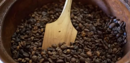 Crisis del café en Oaxaca: roya provoca abandono del 40% de productores cafe oaxaca