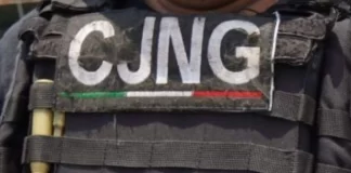 Argentina declara terrorista al CJNG y endurece combate al crimen organizado cjng terrorismo argentina