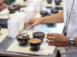La nueva generación transforma la cultura del café: de bebida diaria a experiencia global cultura del café