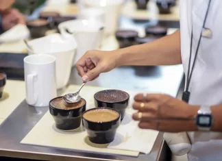 La nueva generación transforma la cultura del café: de bebida diaria a experiencia global cultura del café