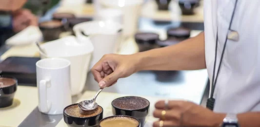 La nueva generación transforma la cultura del café: de bebida diaria a experiencia global cultura del café