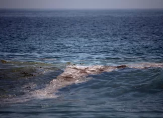 Derrame en Golfo de México: ASEA alista denuncia penal por daños ambientales derrame hidrocarburo México