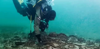 Red oculta del Imperio Romano: hallazgo revela comercio desconocido en Europa descubrimiento historia