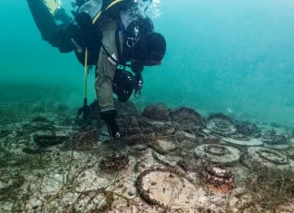 Red oculta del Imperio Romano: hallazgo revela comercio desconocido en Europa descubrimiento historia