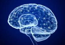 Cardio y memoria: estudio revela que el ejercicio activa ondas cerebrales clave ejercicio activacion cerebral