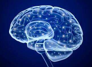 Cardio y memoria: estudio revela que el ejercicio activa ondas cerebrales clave ejercicio activacion cerebral