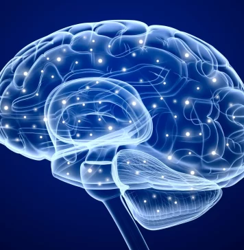 Cardio y memoria: estudio revela que el ejercicio activa ondas cerebrales clave ejercicio activacion cerebral