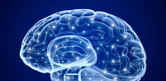 Cardio y memoria: estudio revela que el ejercicio activa ondas cerebrales clave ejercicio activacion cerebral