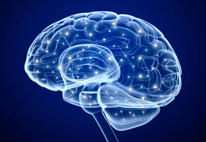 ejercicio activacion cerebral