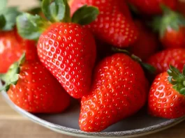 Profeco revela cómo conservar fresas frescas por más tiempo en casa fresas resguardo tips profeco