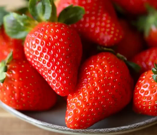 Profeco revela cómo conservar fresas frescas por más tiempo en casa fresas resguardo tips profeco