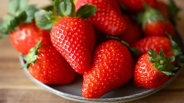 fresas resguardo tips profeco