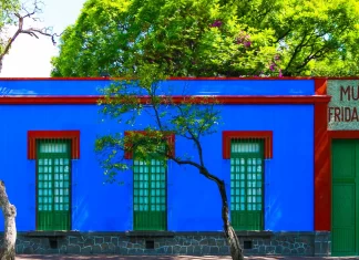 Fever moderniza el boletaje del Museo Frida Kahlo y el Museo Anahuacalli frida kahlo fever