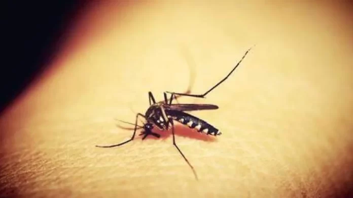 mosquitos evolucionan resistencia