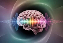 La música activa el cerebro y potencia la empatía: estudio revela impacto social y emocional musica activa el cerebro