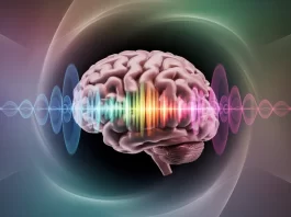La música activa el cerebro y potencia la empatía: estudio revela impacto social y emocional musica activa el cerebro
