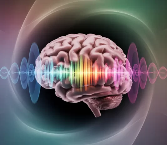 La música activa el cerebro y potencia la empatía: estudio revela impacto social y emocional musica activa el cerebro