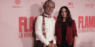 Julieta Venegas narra “Flamingos”, un documental sobre resiliencia natural noticias Julieta Venegas narra Flamingos
