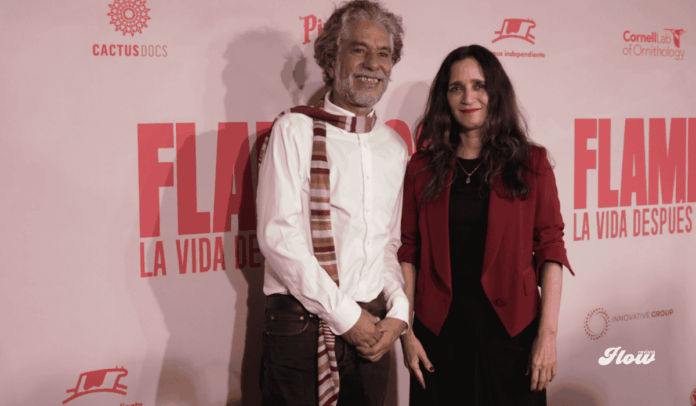 noticias Julieta Venegas narra Flamingos