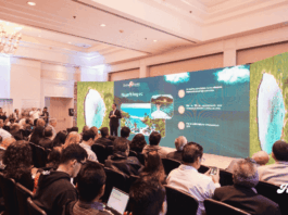 Riviera Nayarit impulsa turismo global con récord de inversión y nueva campaña internacional noticias Riviera Nayarit