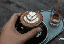 Expo Café Gourmet 2026: fechas, sede y actividades del evento cafetero en México noticias expo café 2026