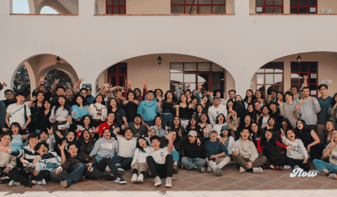 noticias festival de cine guanajuato