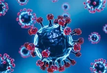 Variante BA.3.2 de COVID-19: mutaciones alertan mientras se expande a 23 países nueva variante covid 19