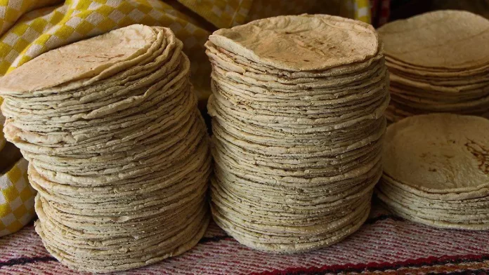 profeco tortillerias