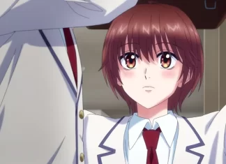 Hana-Kimi confirma temporada 2: el anime continuará su historia shojo Hana-Kimi