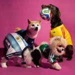 Adidas lanza jerseys oficiales para mascotas Adidas lanza jerseys oficiales para mascotas