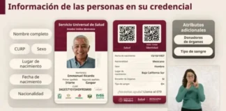 Credencial Universal de Salud sustituirá carnet y será identificación oficial en México Credencial Universal de Salud