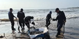 Dónde donar tu cabello y ayuda al derrame de petróleo en el Golfo de México Dónde donar tu cabello y ayuda al derrame de petróleo en el Golfo de México