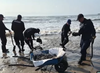 Dónde donar tu cabello y ayuda al derrame de petróleo en el Golfo de México Dónde donar tu cabello y ayuda al derrame de petróleo en el Golfo de México