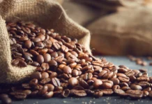 Feria Nacional del Café 2026 en Coatepec: fechas, actividades y cartelera del evento Feria Nacional del Café